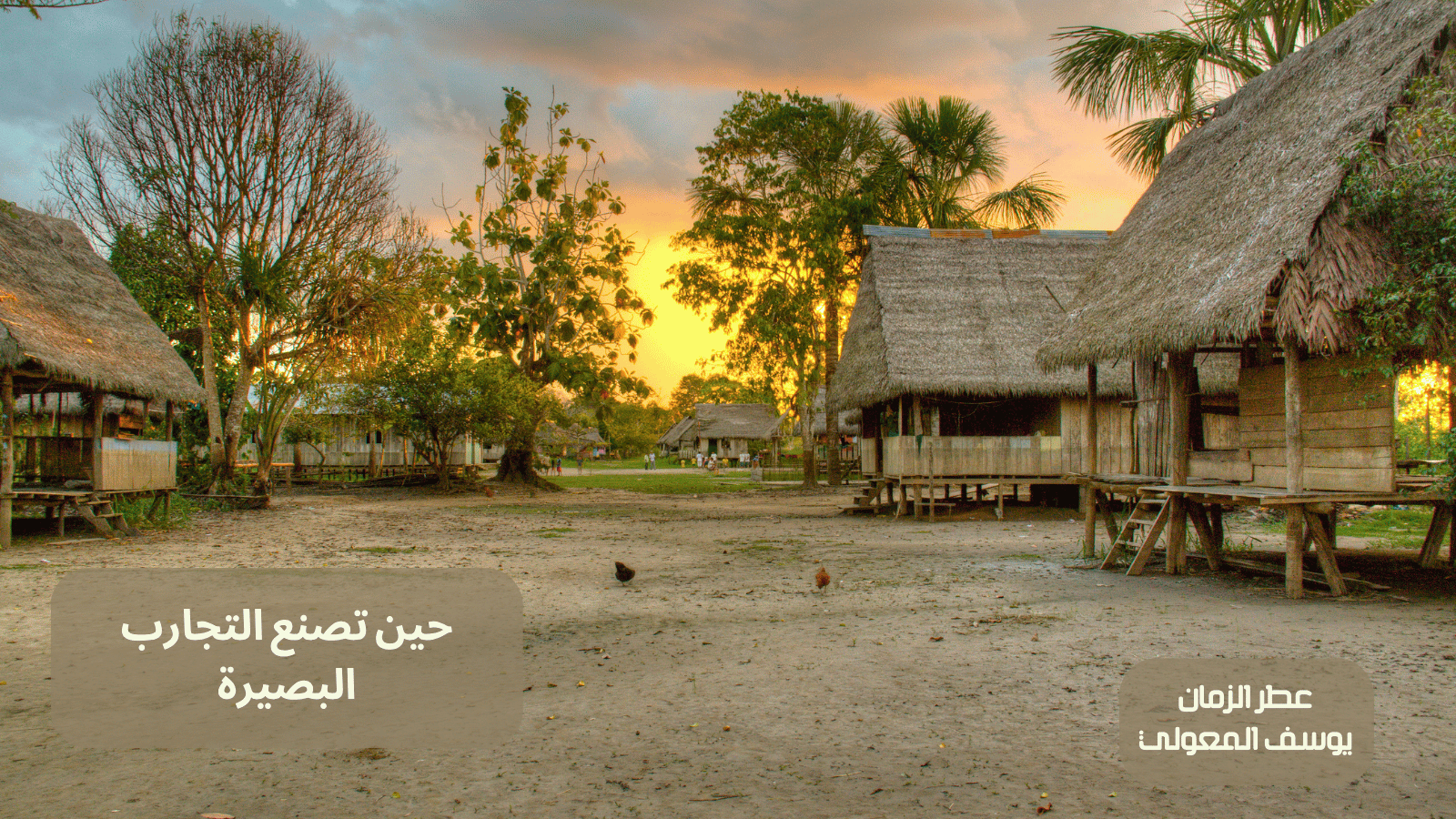حين تصنع التجارب البصيرة